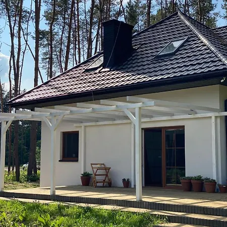 Villa Siedlisko Sarny Kosmin Exterior foto