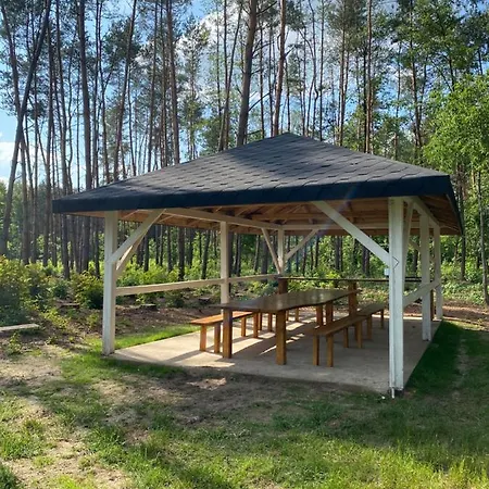 Villa Siedlisko Sarny Kosmin Exterior foto