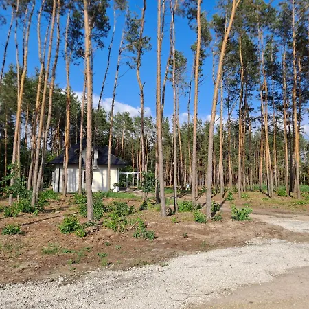 Villa Siedlisko Sarny Kosmin Exterior foto