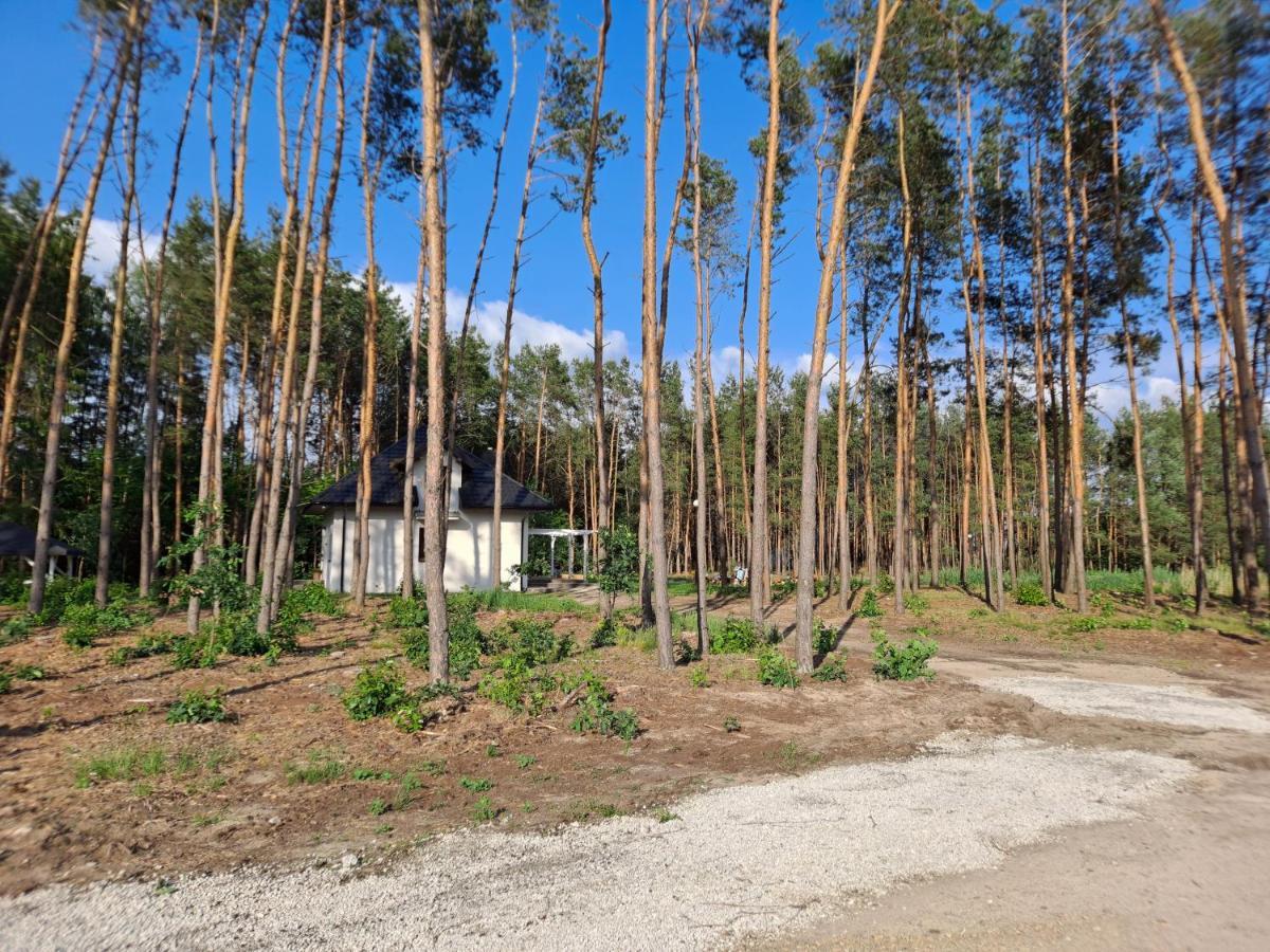 Villa Siedlisko Sarny *